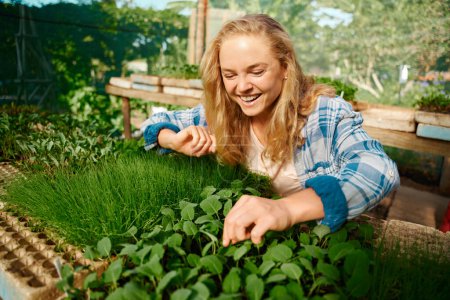 Foto de Happy young caucasian woman in checked shirt smiling while picking plants in plant nursery - Imagen libre de derechos