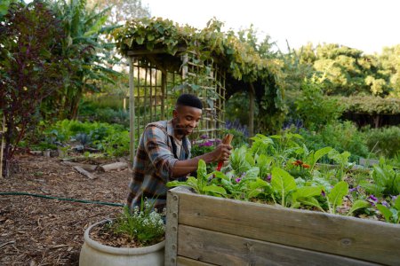 Foto de Young black man wearing checked shirt smiling while using spade in flowerbed in plant nursery - Imagen libre de derechos