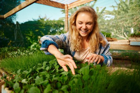 Téléchargez les photos : Young caucasian woman in checked shirt smiling while looking down and examining plants in plant nursery - en image libre de droit