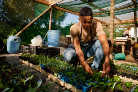 Téléchargez les photos : Happy young black man in apron crouching and smiling while examining plants in plant nursery - en image libre de droit