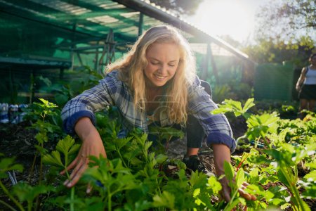 Téléchargez les photos : Happy young caucasian woman smiling while crouching by lush plants while gardening at garden center - en image libre de droit