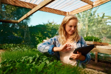 Foto de Young caucasian woman in checked shirt smiling and pointing at digital tablet by plants in plant nursery - Imagen libre de derechos