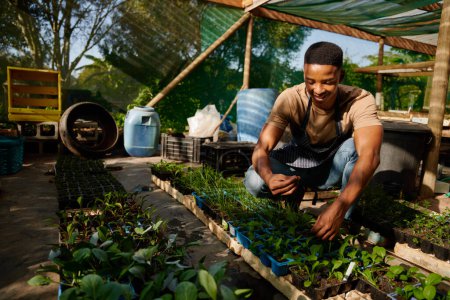 Foto de Happy young black man in apron crouching by plants while examining leaf in plant nursery - Imagen libre de derechos