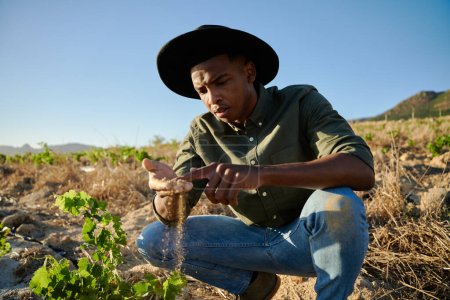Téléchargez les photos : Jeune homme noir portant un chapeau débordant accroupi et examinant la saleté à côté des plantes à la ferme - en image libre de droit