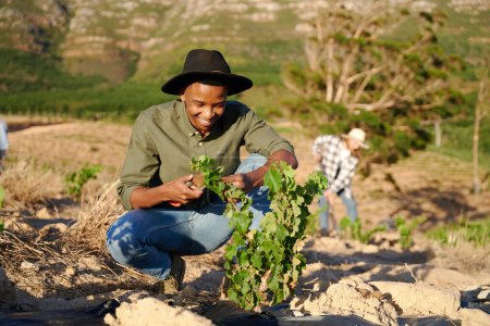 Foto de Pareja joven multirracial usando ropa casual haciendo actividades agrícolas por las plantas en la granja - Imagen libre de derechos