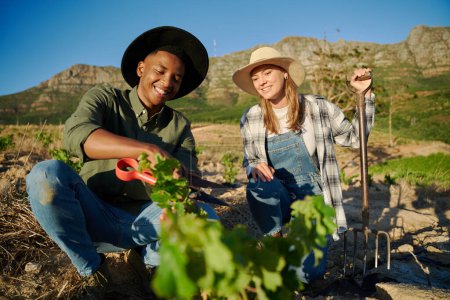 Téléchargez les photos : Jeune couple multiracial portant des vêtements décontractés accroupi par des plantes avec du matériel de jardinage à la ferme - en image libre de droit