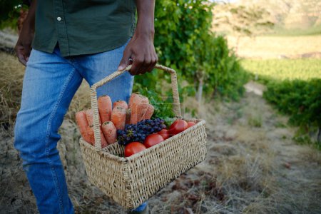 Foto de Joven hombre negro con ropa casual caminando con cosecha de frutas y verduras en la granja - Imagen libre de derechos