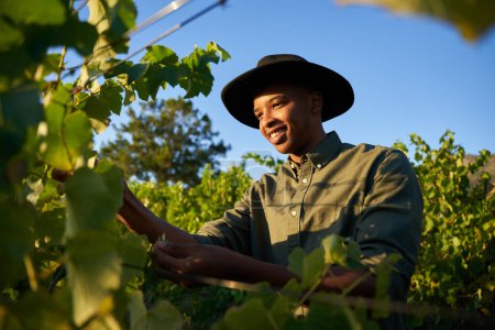 Foto de Joven hombre negro vistiendo sombrero de ala sonriendo mientras cosecha cultivos en la granja - Imagen libre de derechos