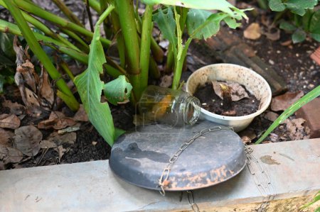 Foto de Cuenco de plástico abandonado en un jarrón con agua estancada dentro. primer plano ver mosquitos en crianza potencial.proliferación de aedes aegypti dengue chikungunya zika virus mosquitos - Imagen libre de derechos