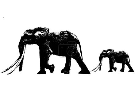 Photo for Elephant silhouette black and white vector image Animal portrait, beauty, body line art. For use as a brochure template or for use in web design - Royalty Free Image