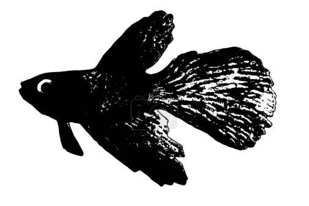 Photo for Fish silhouette black and white vector image Aquatic animal portrait, beauty, body line art. For use as a brochure template or for use in web design. - Royalty Free Image