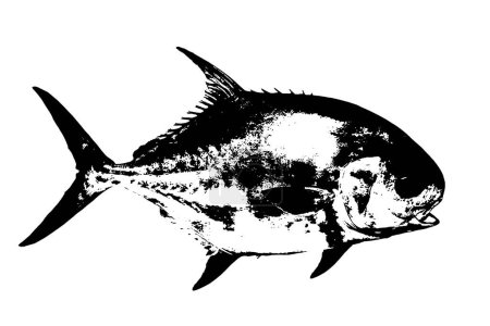 Photo for Fish silhouette black and white vector image Aquatic animal portrait, beauty, body line art. For use as a brochure template or for use in web design. - Royalty Free Image