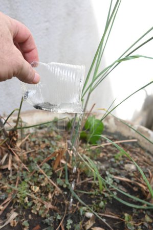 bol en plastique abandonné dans un vase avec de l'eau stagnante à l'intérieur. vue rapprochée. moustiques dans les aires de reproduction potentielles
