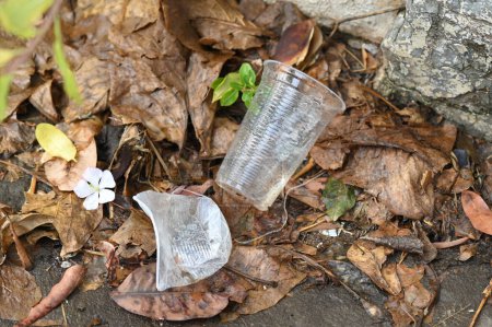 cuenco de plástico abandonado en un jarrón con agua estancada dentro. Vista de cerca. mosquitos en un potencial caldo de cultivo
