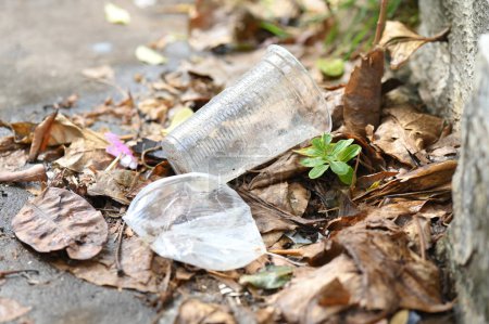 Foto de Cuenco de plástico abandonado en un jarrón con agua estancada dentro. Vista de cerca. mosquitos en un potencial caldo de cultivo - Imagen libre de derechos