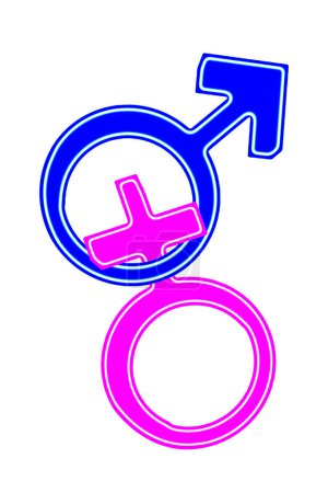 silhouette image vectorielle du symbole de genre masculin et féminin isolé sur fond blanc transparent icône homme et femme