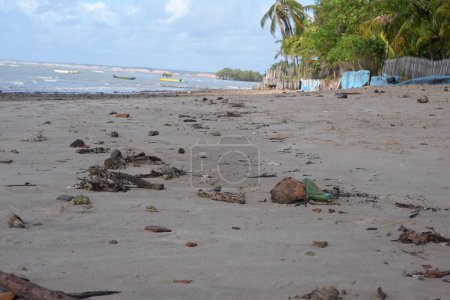 Atlantic Ocean Brazilian coast Bahia dirty beach accumulated garbage environmental protection image