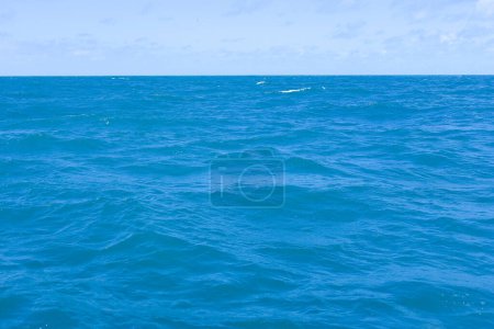 atlantic ocean brazilian coast Bahia beach sea summer whale coast image