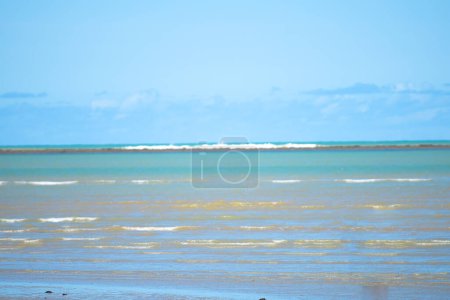 atlantic ocean brazilian coast Bahia beach sea summer whale coast image