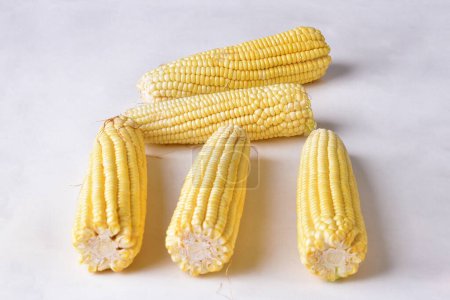 Téléchargez les photos : Maïs aliment naturel sain délicieux végétalien cuit maïs vert isolé sur fond blanc transparent goût - en image libre de droit