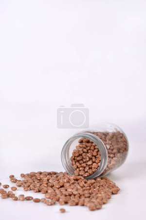 raw bean grain seeds for food natural healthy food seed for planting isoled background