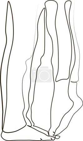 Photo for One continuous line drawing of  legs of the kissing couple. Abstract Linear Silhouette on White. - Royalty Free Image