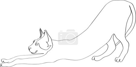 Continuous one line drawing of cat- kitten. Black line cat stretch oneself on white background