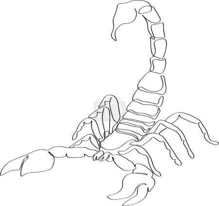 Scorpion dessin d'art simple ligne, continue ligne
