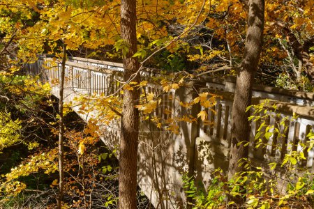 Foto de Vista del puente sobre las Campanas Inferiores a través de las hojas de otoño. Matthiessen State Park, Illinois, EE.UU.. - Imagen libre de derechos