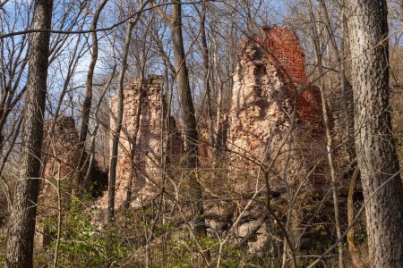 Photo for Abandoned ruins of old brick kilns at Pecumsaugan Creek and The Blackball Mines Nature Preserve in North Utica, Illinois. - Royalty Free Image