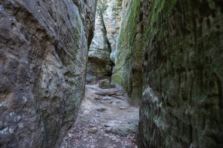 Foto de Sendero natural a través de acantilados de piedra arenisca en Giant City State Park, Illinois, EE.UU.. - Imagen libre de derechos
