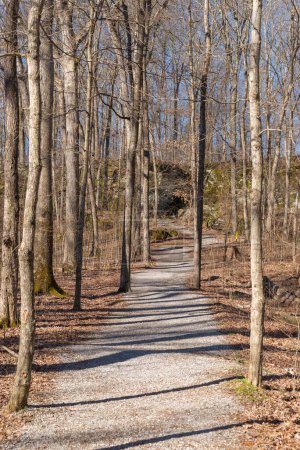 Photo for Hiking trail in Giant City State Park on a sunny Spring morning. - Royalty Free Image