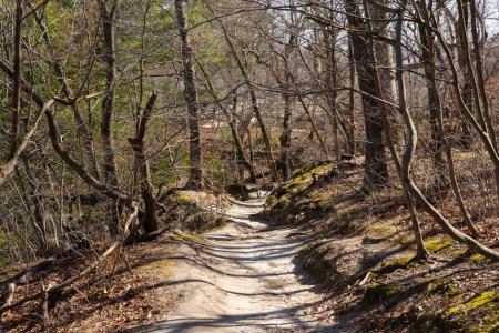 Wanderweg im Hungered Rock State Park im zeitigen Frühling.