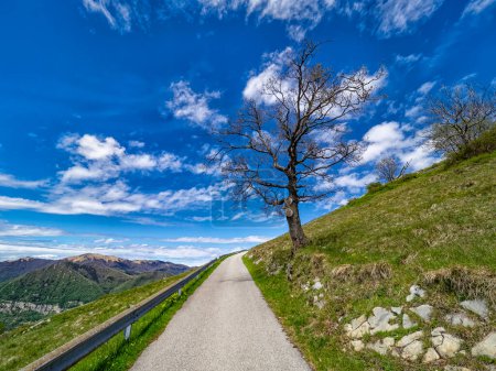 Foto de Camino del campo en los Alpes italianos - Imagen libre de derechos