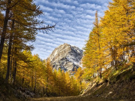 Foto de Paisaje otoñal en los Alpes italianos de Macugnaga - Imagen libre de derechos