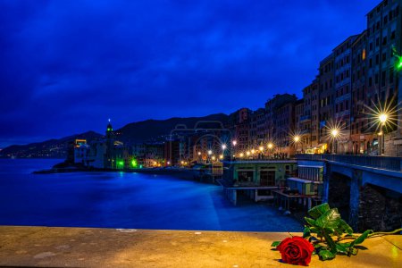 Photo for Red rose on the seaside of Camogli - Royalty Free Image