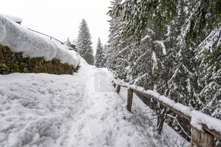 Wanderweg in den Alpen bei Schneefall