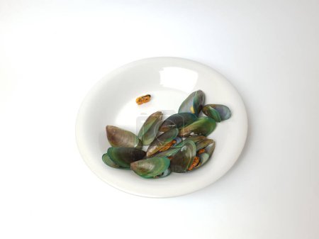 Photo for Mussels on white dish - Royalty Free Image