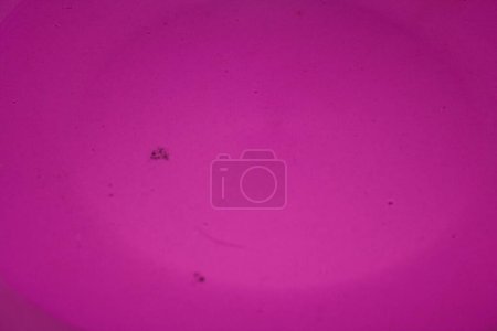 Foto de Gota de agua sobre un fondo rosa - Imagen libre de derechos