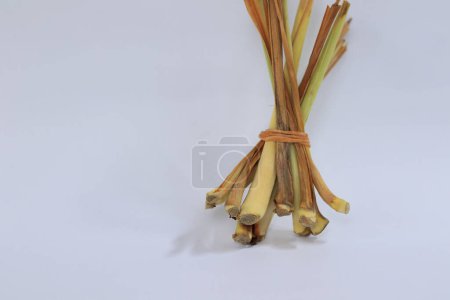 Photo for Lemongrass on a white background - Royalty Free Image
