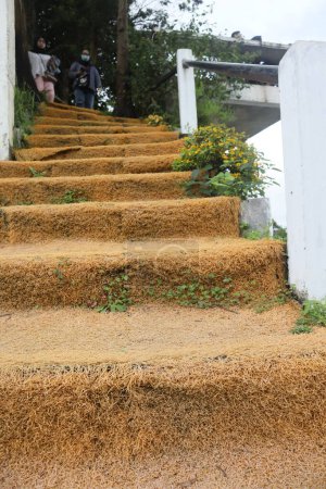 Téléchargez les photos : Escaliers avec gazon artificiel brun - en image libre de droit