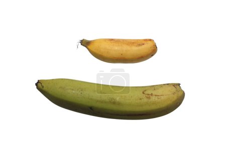 Foto de Manojo de plátanos aislados sobre fondo blanco - Imagen libre de derechos