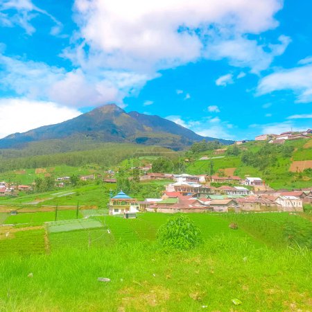 Photo for Daytime view of green meadow with small village, Indonesia - Royalty Free Image
