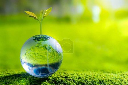 Illustration 3D Concept d'énergie renouvelable Jour de la Terre ou protection de l'environnement Protéger les forêts qui poussent sur le sol et aider à sauver la planète.
