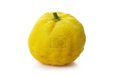 Téléchargez les photos : Yuzu fruits isolated on a white background - en image libre de droit