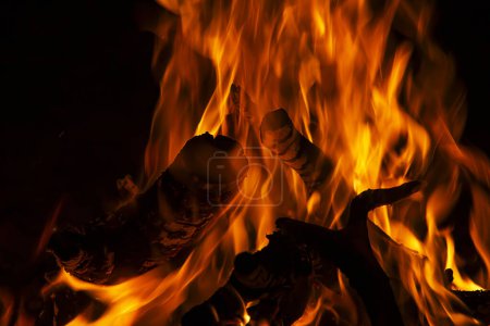 Photo for A fire is burning in a pile of wood - Royalty Free Image