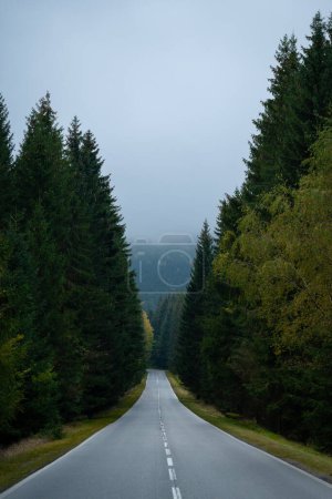 A straight section of an asphalt road in the mountains through the forest. Polish mountains