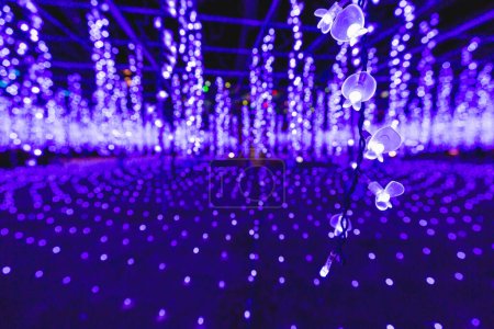 Téléchargez les photos : Noël fond bokeh de l'hiver LED illuminer l'éclairage avec une ampoule à fleurs à Ashikaga, Japon - en image libre de droit