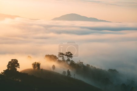 Téléchargez les photos : Saison de voyage d'hiver, Beau paysage de brouillard sur la montagne au lever du soleil dans le belvédère de Yun Lai, Pai, Mae Hong Son, Thaïlande - en image libre de droit