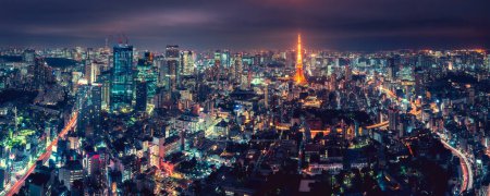 Photo for Panorama Tokyo city skyline with Tokyo Tower at dusk in Japan, Colorful color - Royalty Free Image